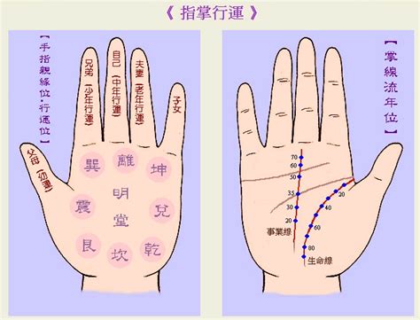 五行手相|教你看手相——手的五行分类